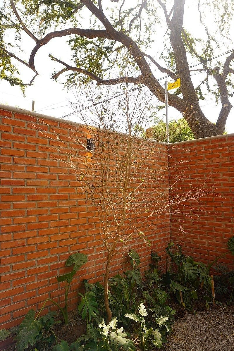 Apartment in El Zalate, Guadalajara, photo 12 of 13