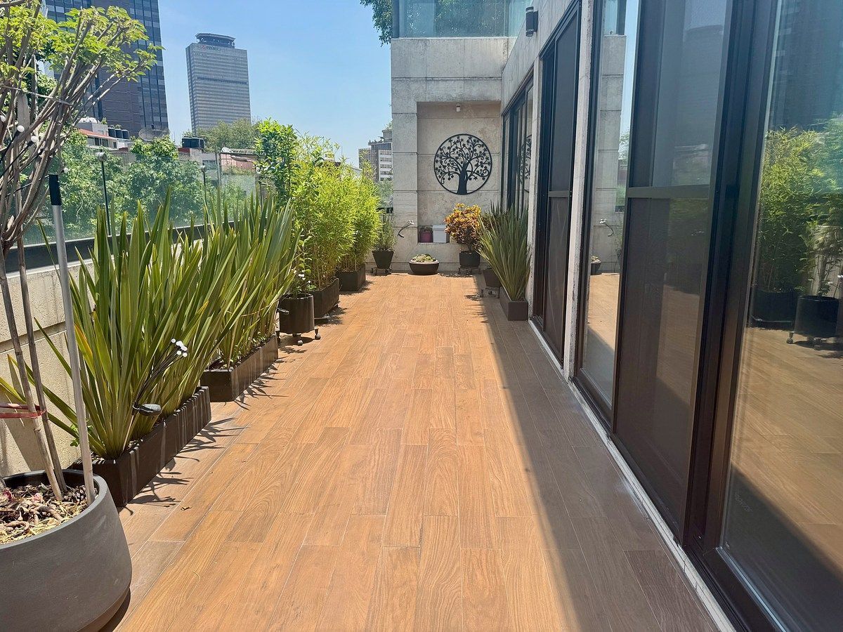 Penthouse en renta con terraza y 2 balcones en Anzures, foto 1 de 24