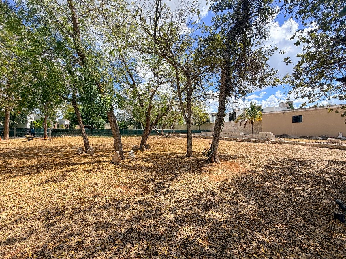 Lote em Dzityá, Mérida, foto 6 de 12