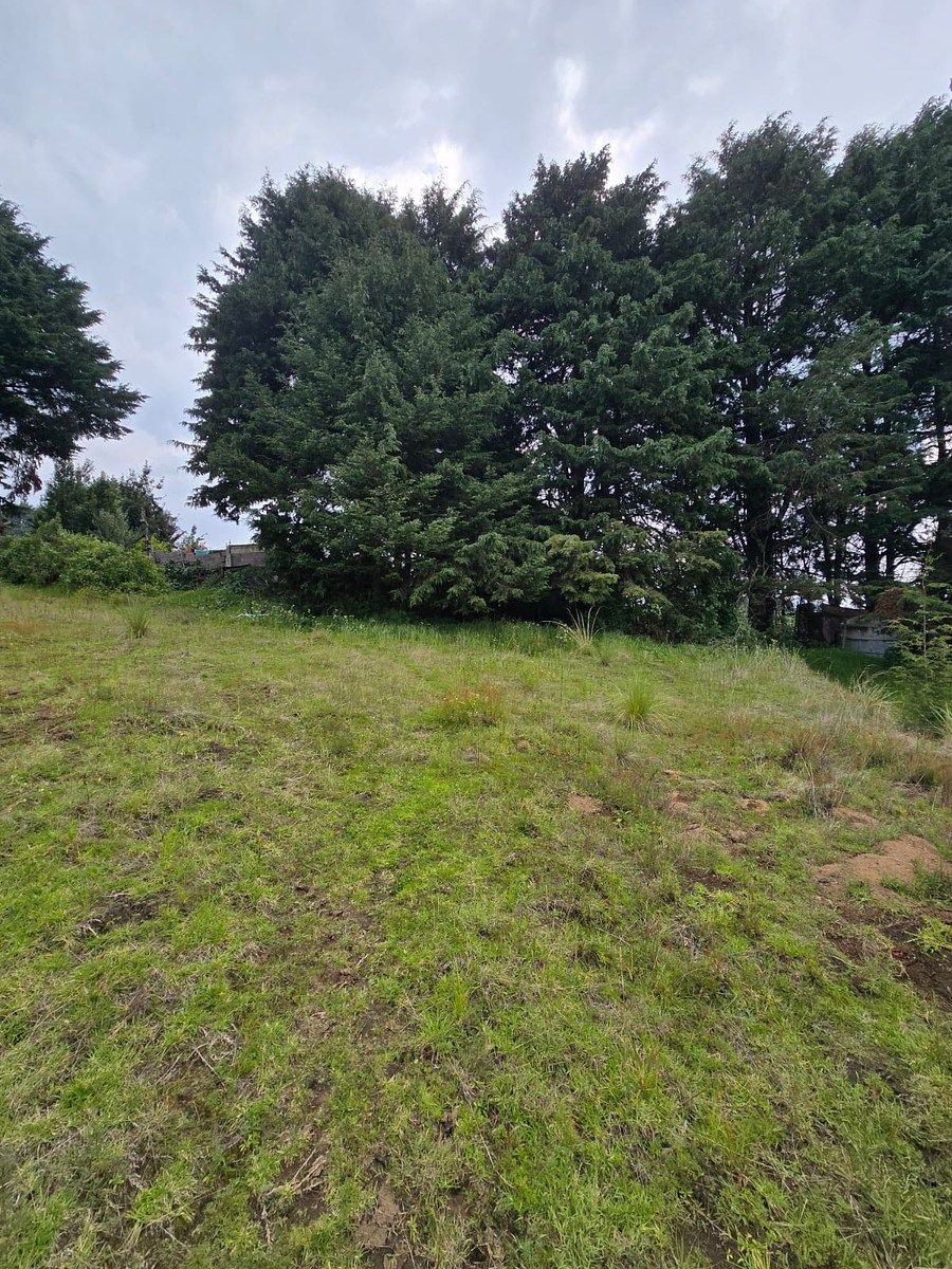 TERRENO EN VENTA EN TLALPAN, foto 1 de 4