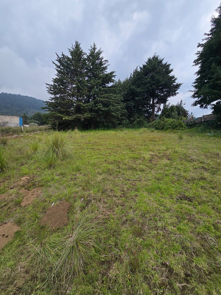 Terreno en Los Encinos, Tlalpan, foto 2 de 4