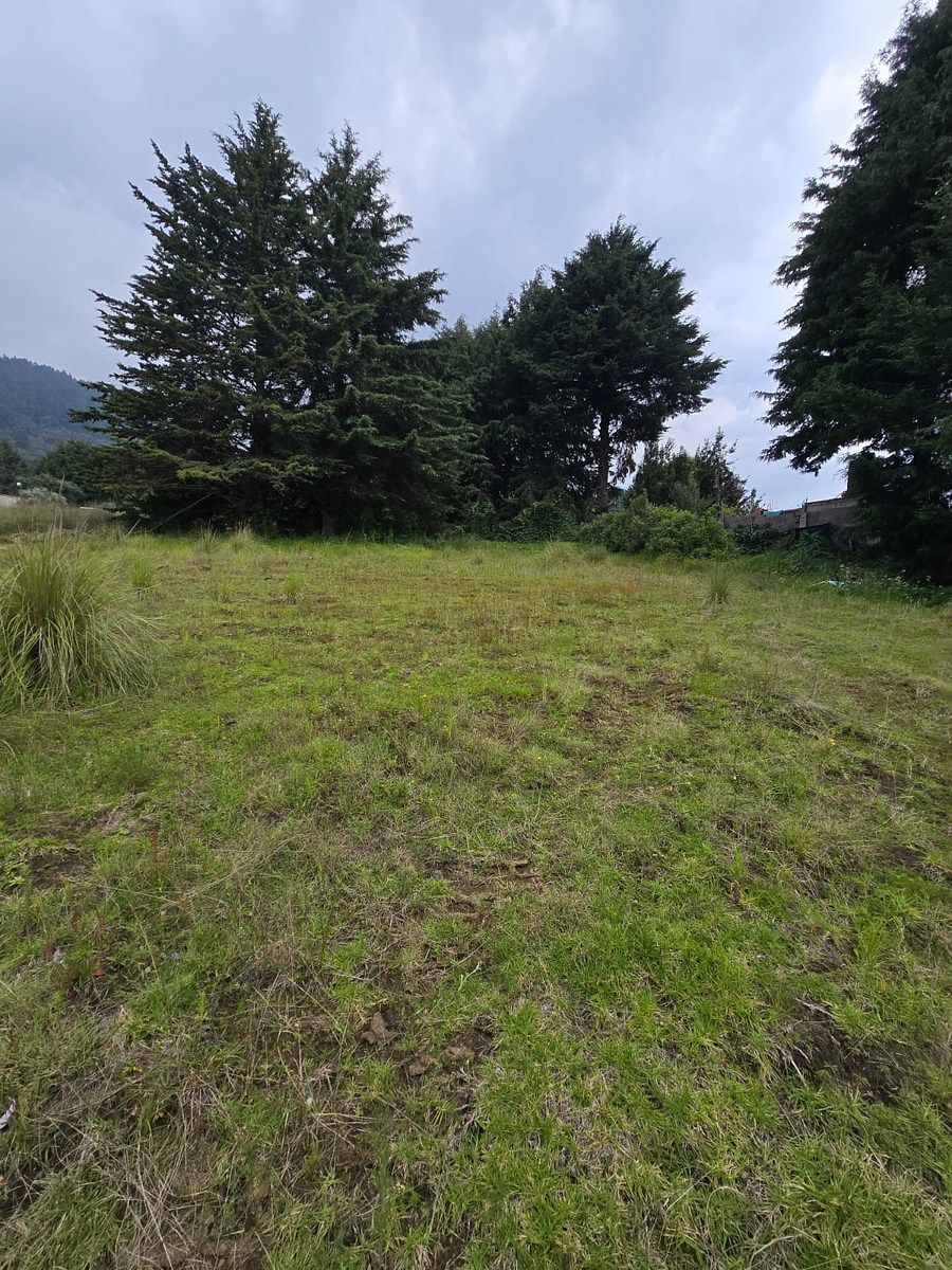 Terreno en Los Encinos, Tlalpan, foto 3 de 4