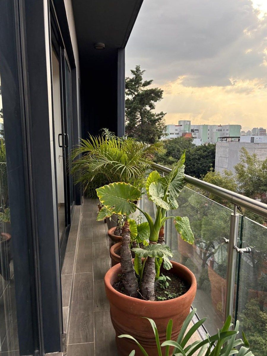 Apartamento em Roma Norte, Cuauhtémoc, foto 10 de 22