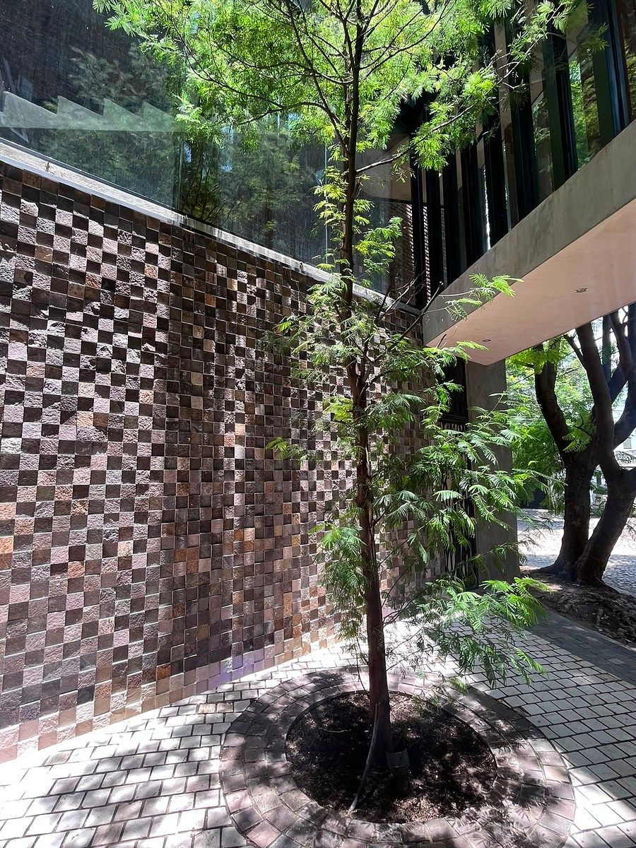 Sala Comercial em Jurica Pinar, Querétaro, foto 2 de 13