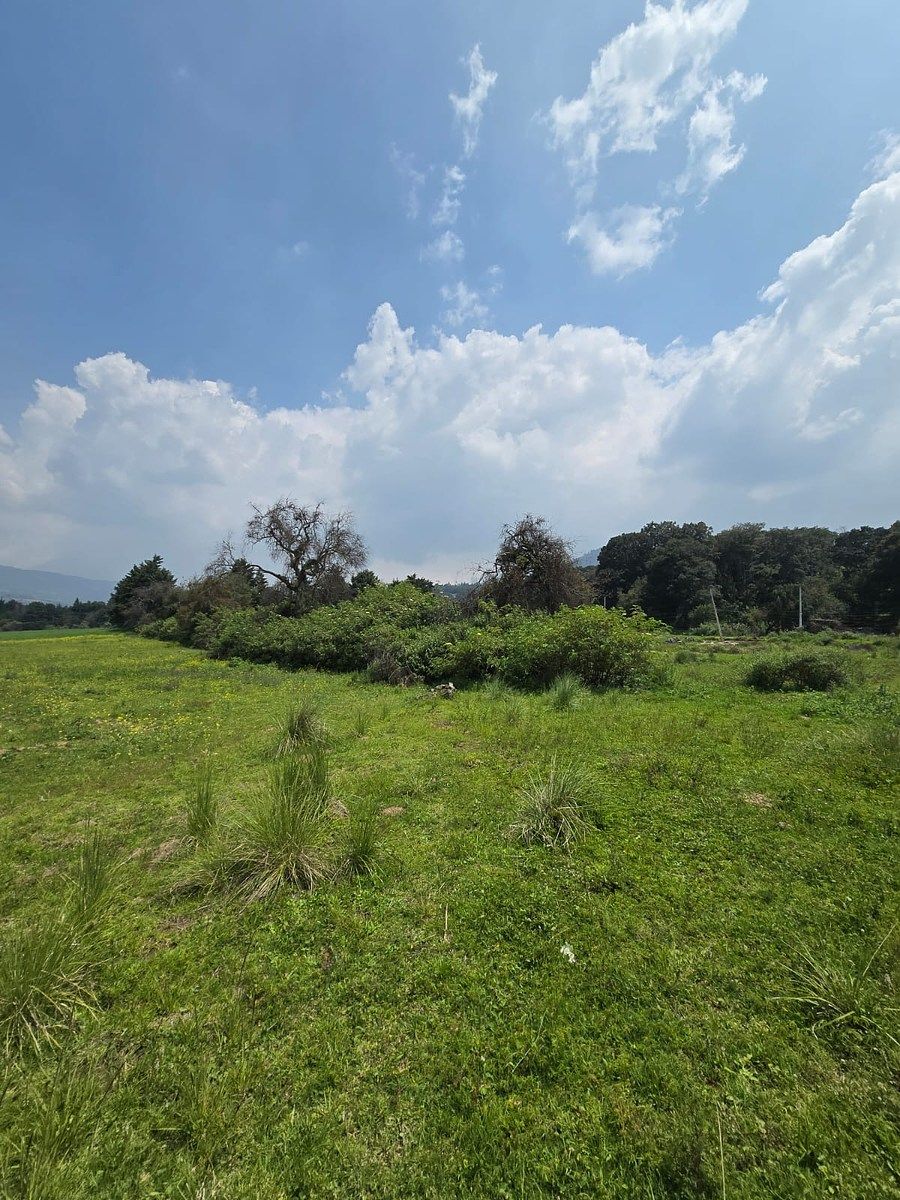 Terreno en San Miguel Topilejo, Tlalpan, foto 6 de 6