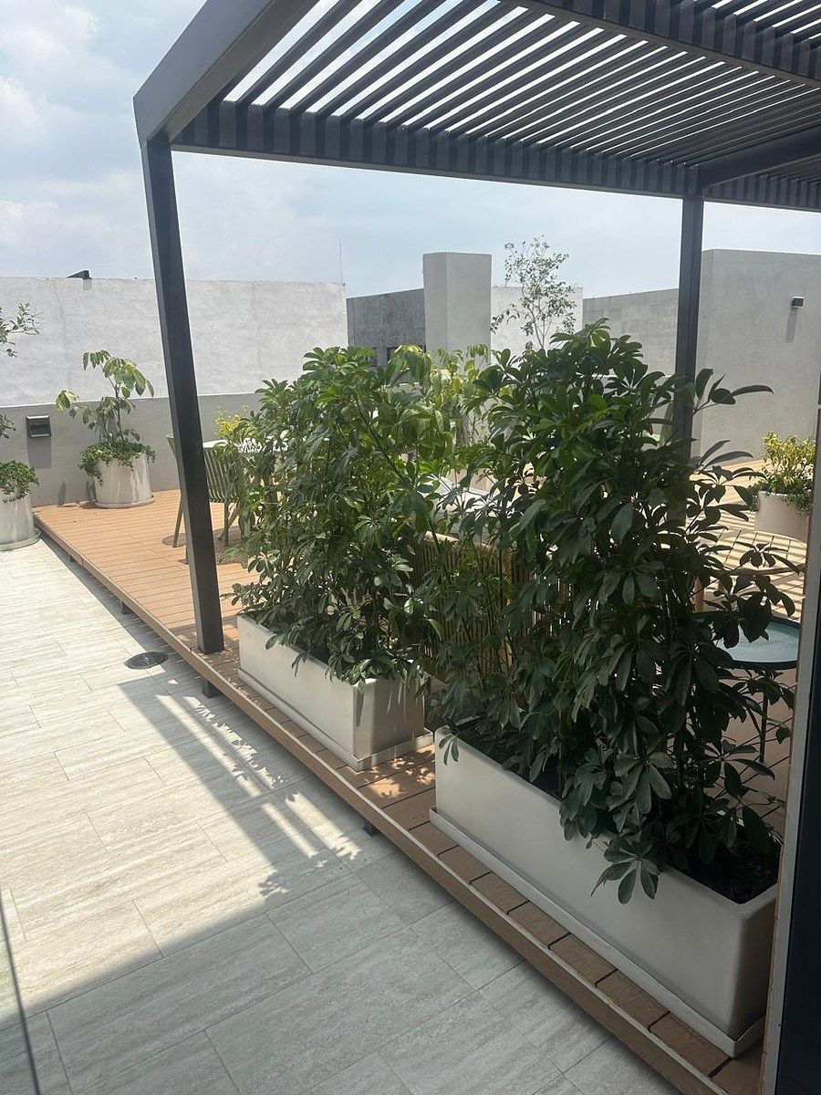 Departamento en Roma Norte, Cuauhtémoc, foto 19 de 29
