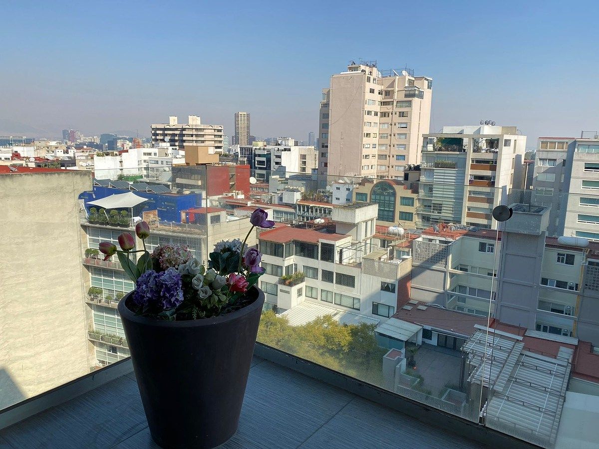 Departamento en Lomas de Chapultepec I Sección, Miguel Hidalgo, foto 19 de 33