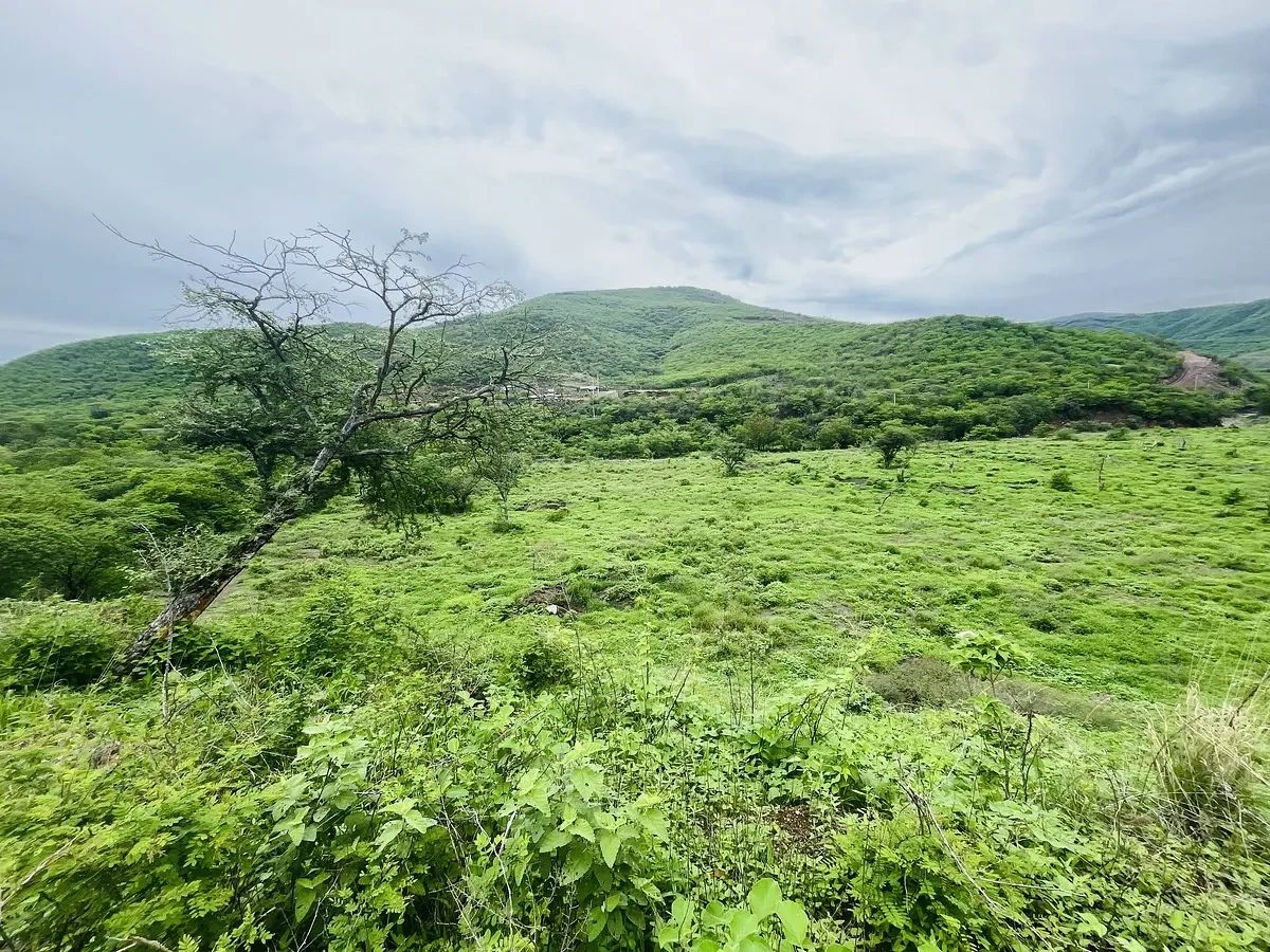 Terreno en San Agustín Acasaguastlán, foto 10 de 17