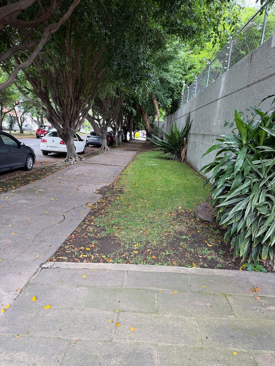 Lote em Bosques de La Victoria, Guadalajara, foto 19 de 23