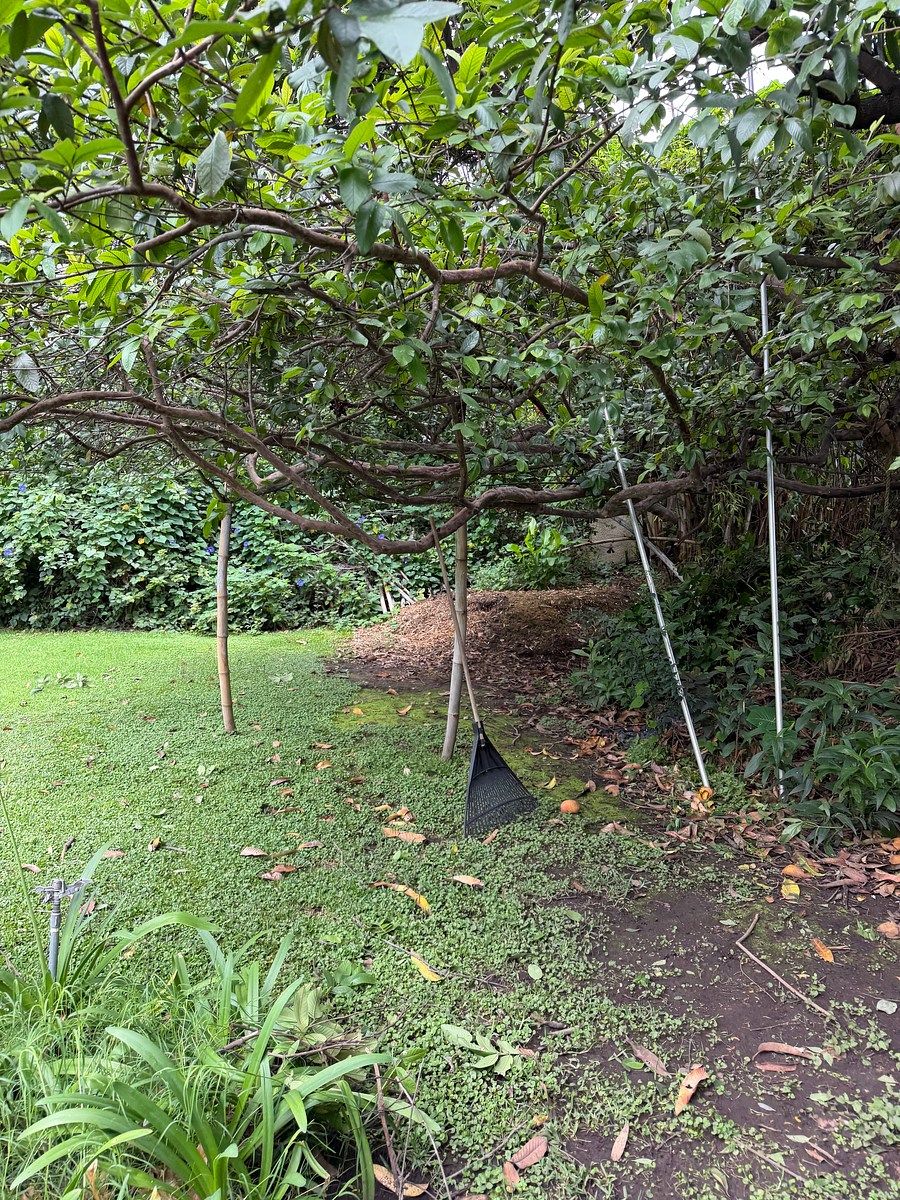 Lote em Bosques de La Victoria, Guadalajara, foto 8 de 23