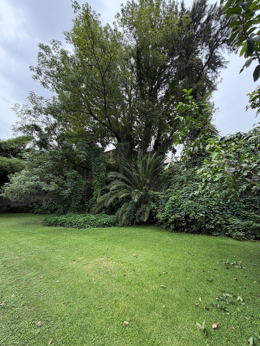 Lote em Bosques de La Victoria, Guadalajara, foto 13 de 23