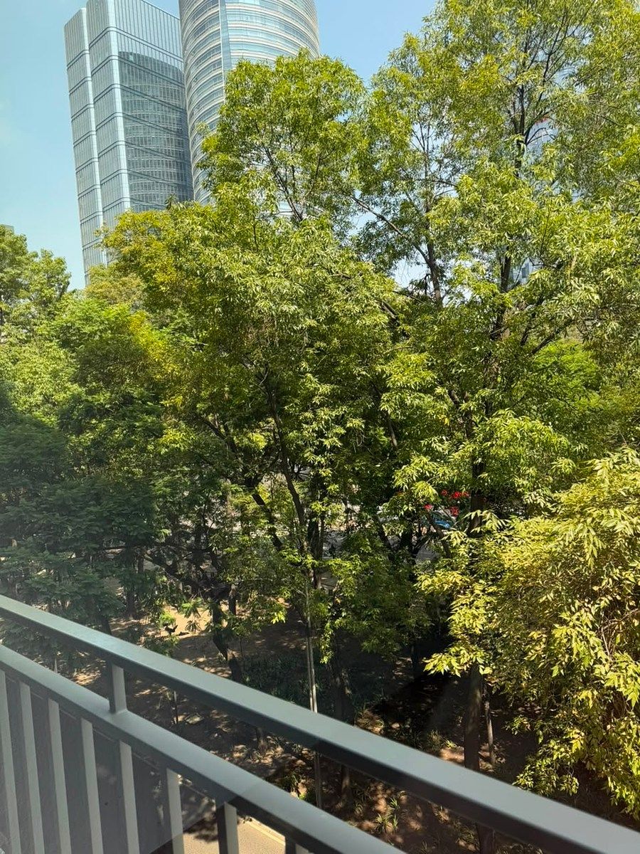 Sala Comercial em Juárez, Cuauhtémoc, foto 8 de 29