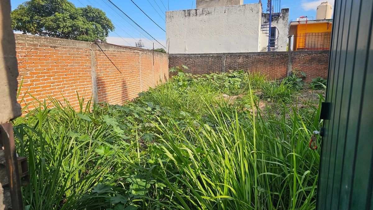 Lote em Acapatzingo, Cuernavaca, foto 3 de 10