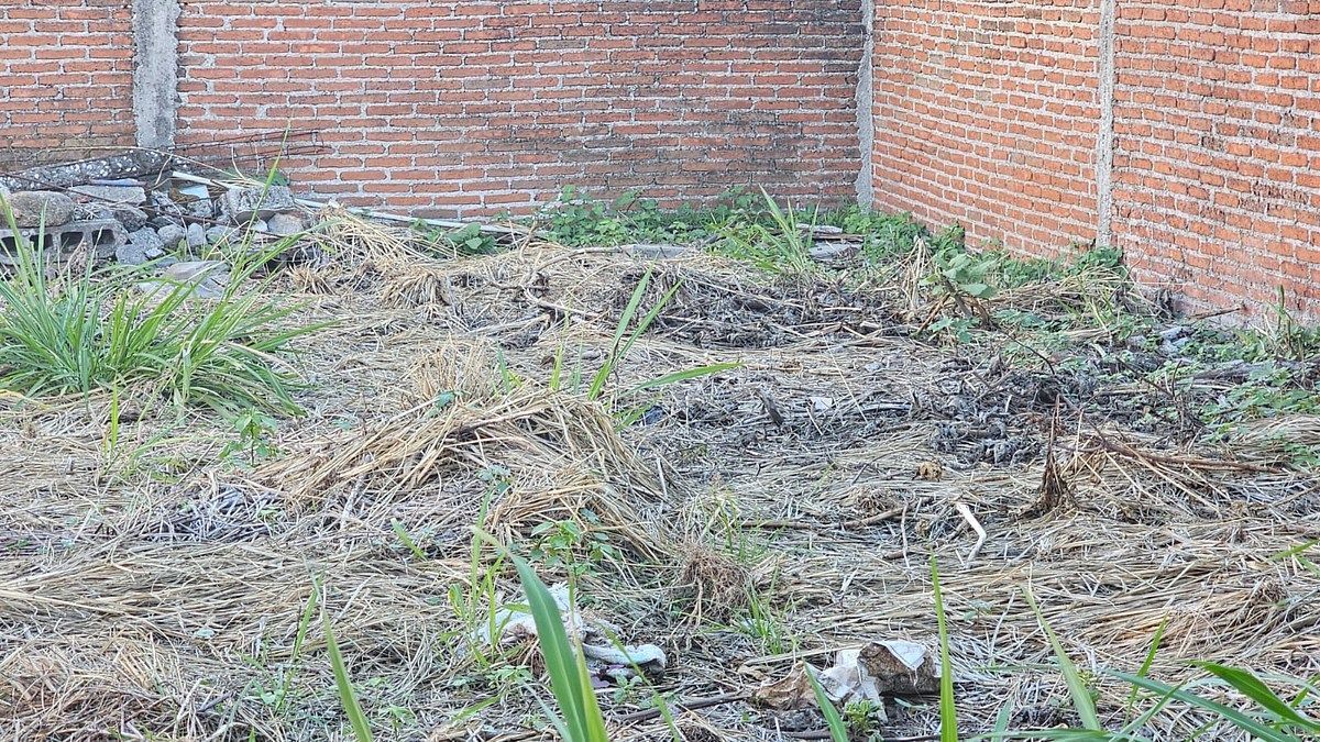 Lote em Acapatzingo, Cuernavaca, foto 5 de 10