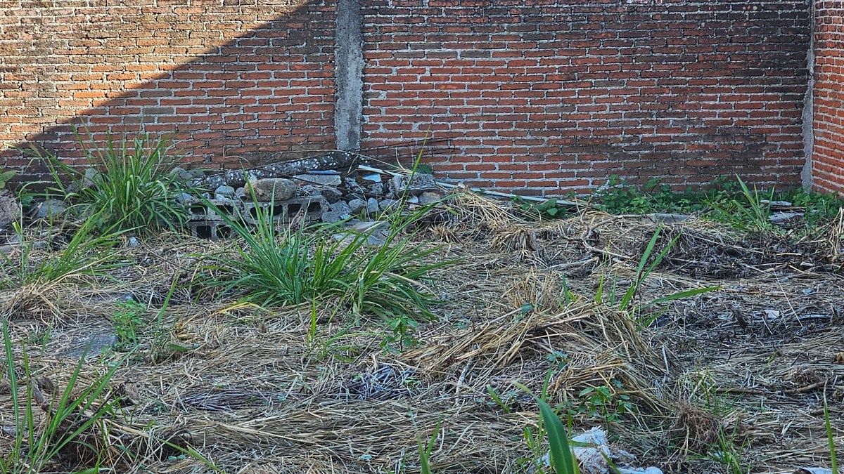 Lote em Acapatzingo, Cuernavaca, foto 6 de 10