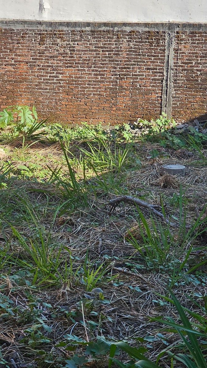 Lote em Acapatzingo, Cuernavaca, foto 10 de 10