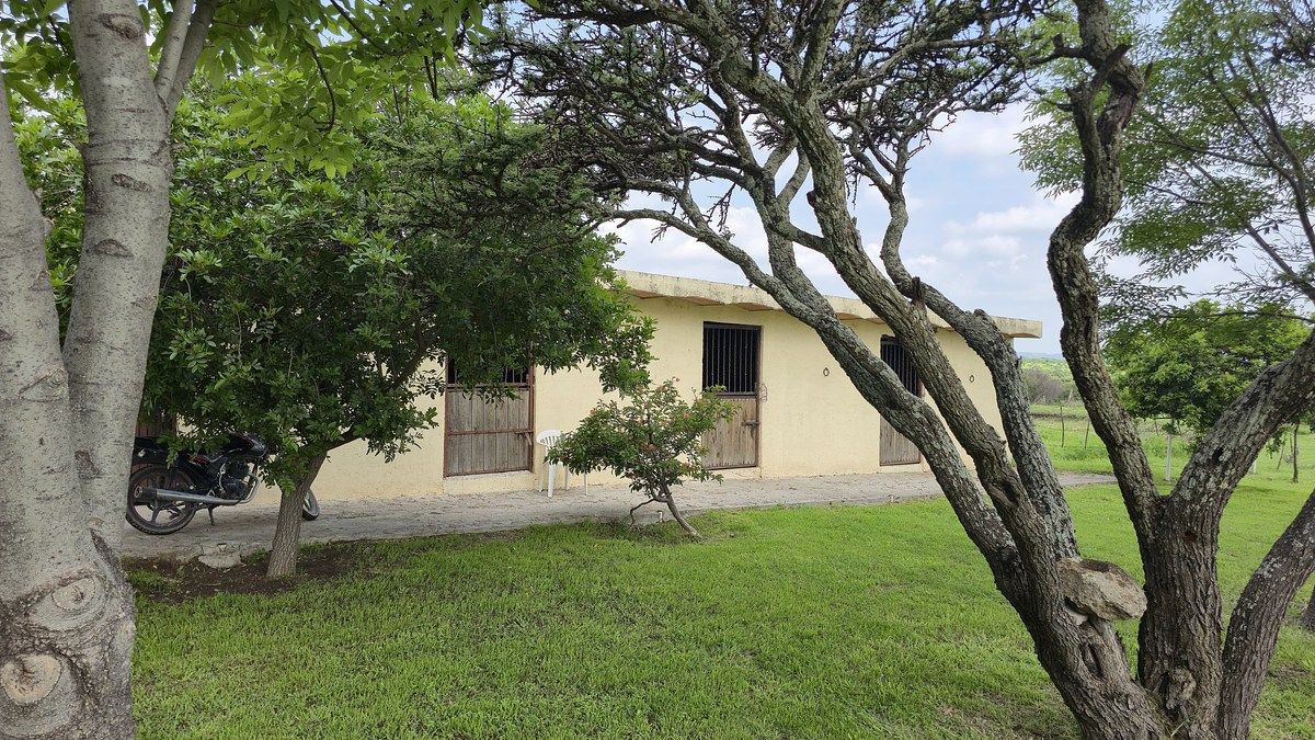 Fazenda em Union de San Antonio Centro, Unión de San Antonio, foto 7 de 24
