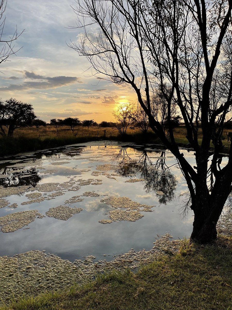 Fazenda em Union de San Antonio Centro, Unión de San Antonio, foto 22 de 24
