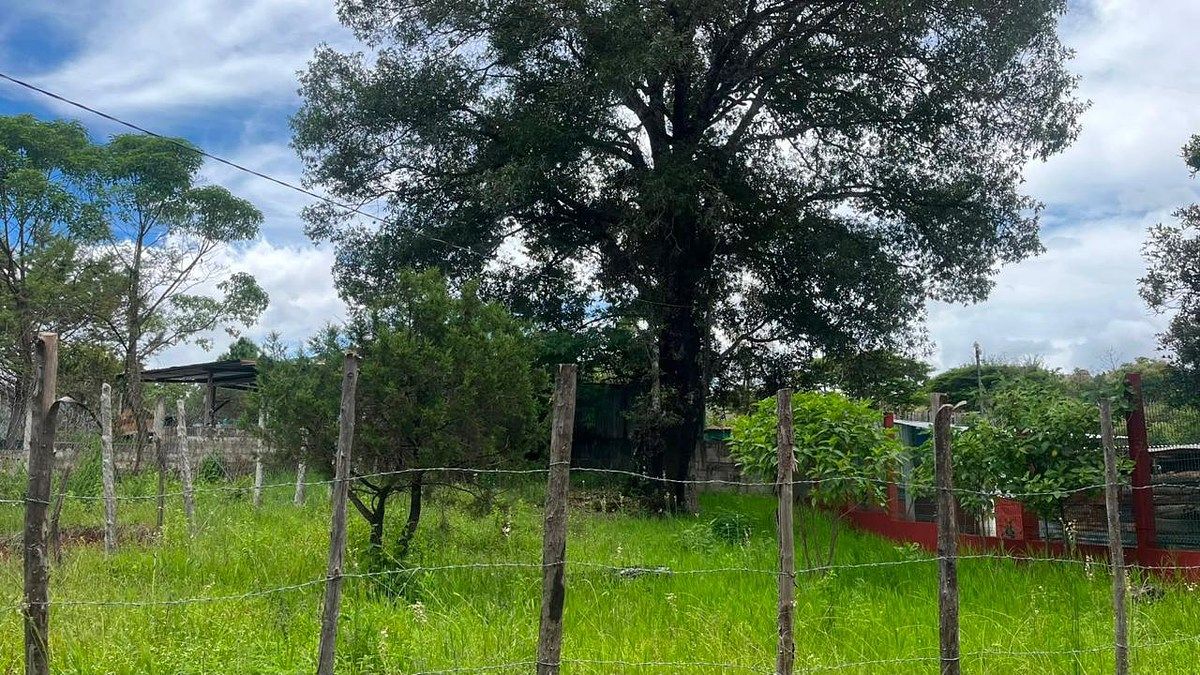 Casa em Amatenango del Valle, Amatenango del Valle, foto 13 de 15