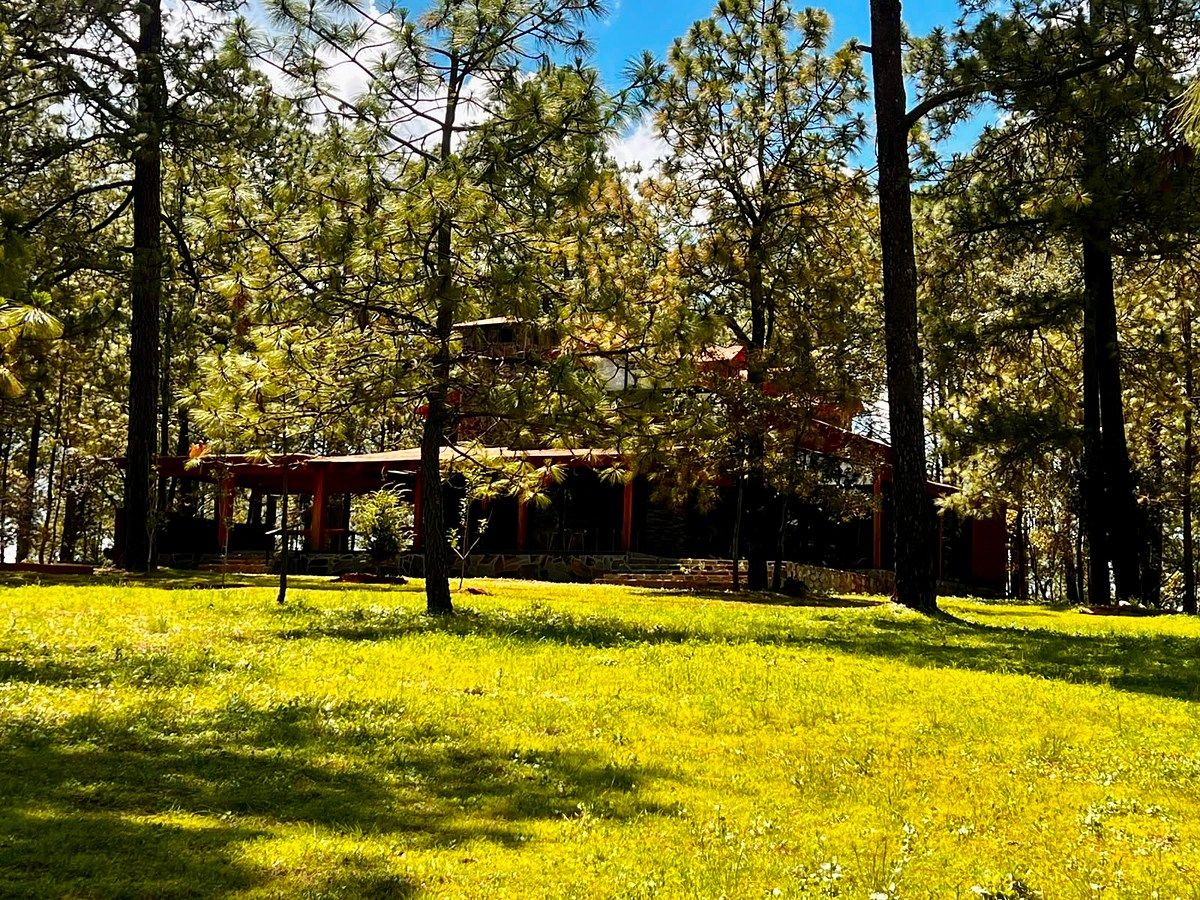 House in Los Espinos, Tapalpa, photo 5 of 51