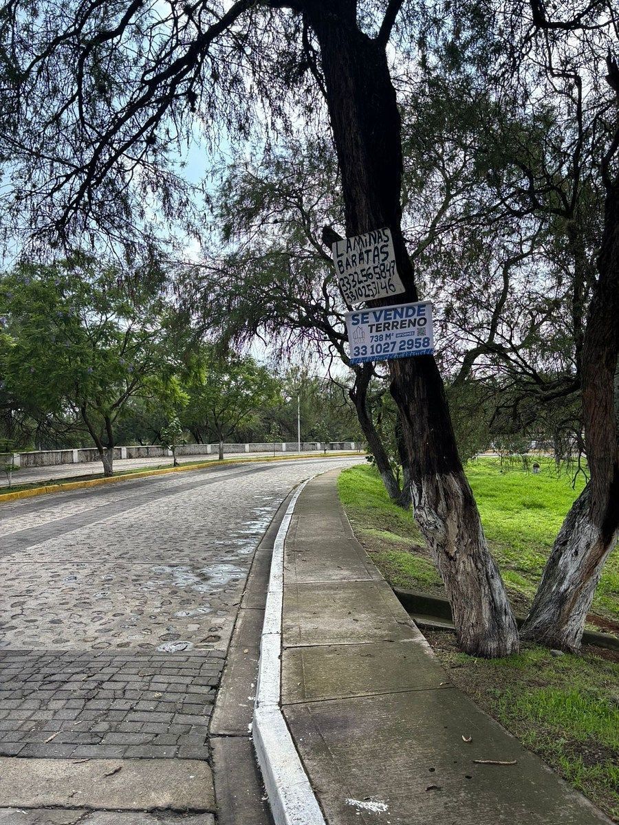 Terreno en Buenavista, Ixtlahuacán de los Membrillos, foto 2 de 11