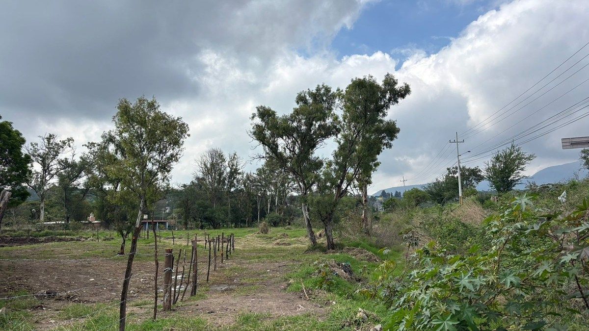 Terreno en Buenavista, Ixtlahuacán de los Membrillos, foto 4 de 11