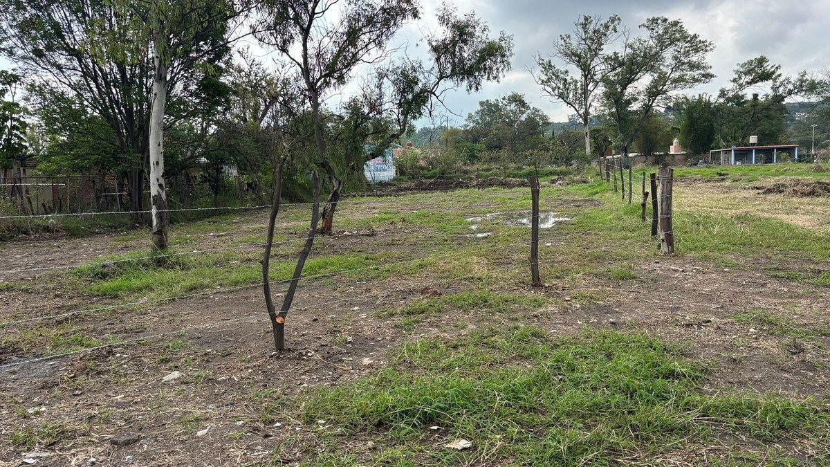 Terreno en Buenavista, Ixtlahuacán de los Membrillos, foto 6 de 11