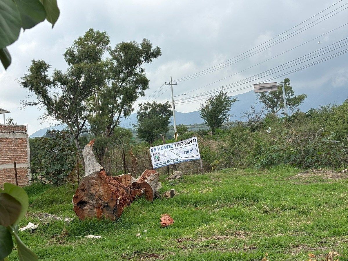 Terreno en Buenavista, Ixtlahuacán de los Membrillos, foto 9 de 11