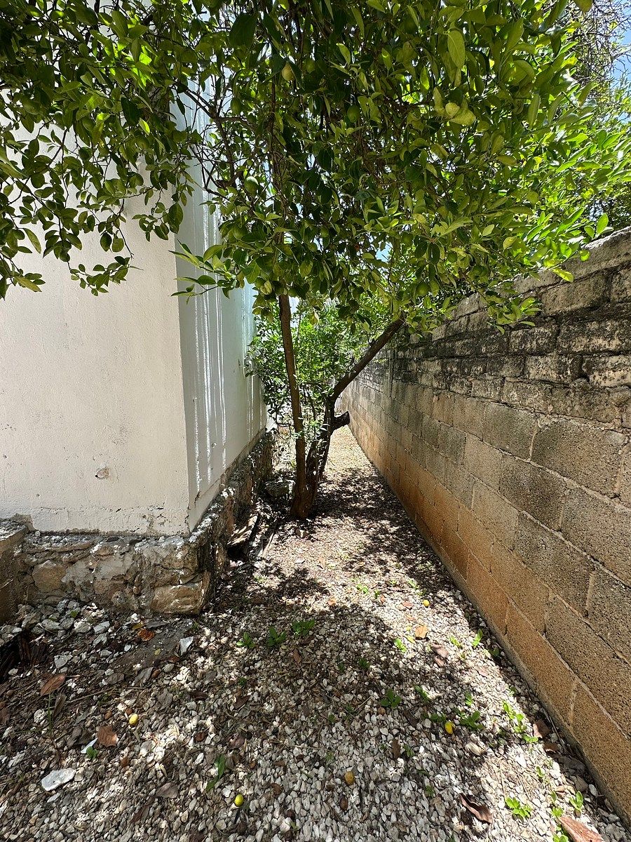 House in Jardines del Pedregal, Campeche, photo 14 of 14