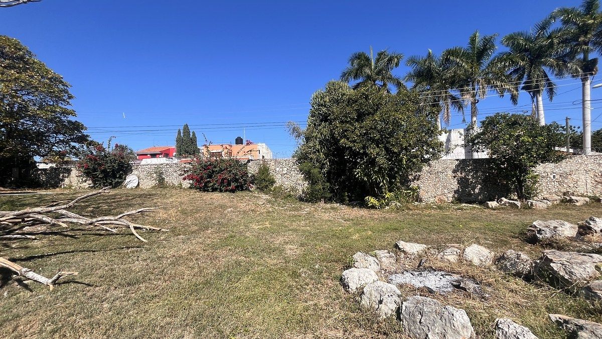 Lote em Santa María Chuburná, Mérida, foto 6 de 24