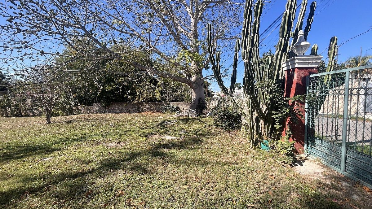 Lote em Santa María Chuburná, Mérida, foto 9 de 24