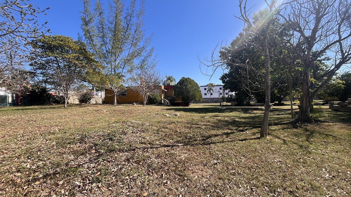 Lote em Santa María Chuburná, Mérida, foto 12 de 24