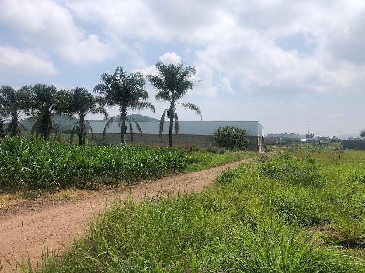 Galpão comercial em Buenavista, Tlajomulco de Zúñiga, foto 13 de 13