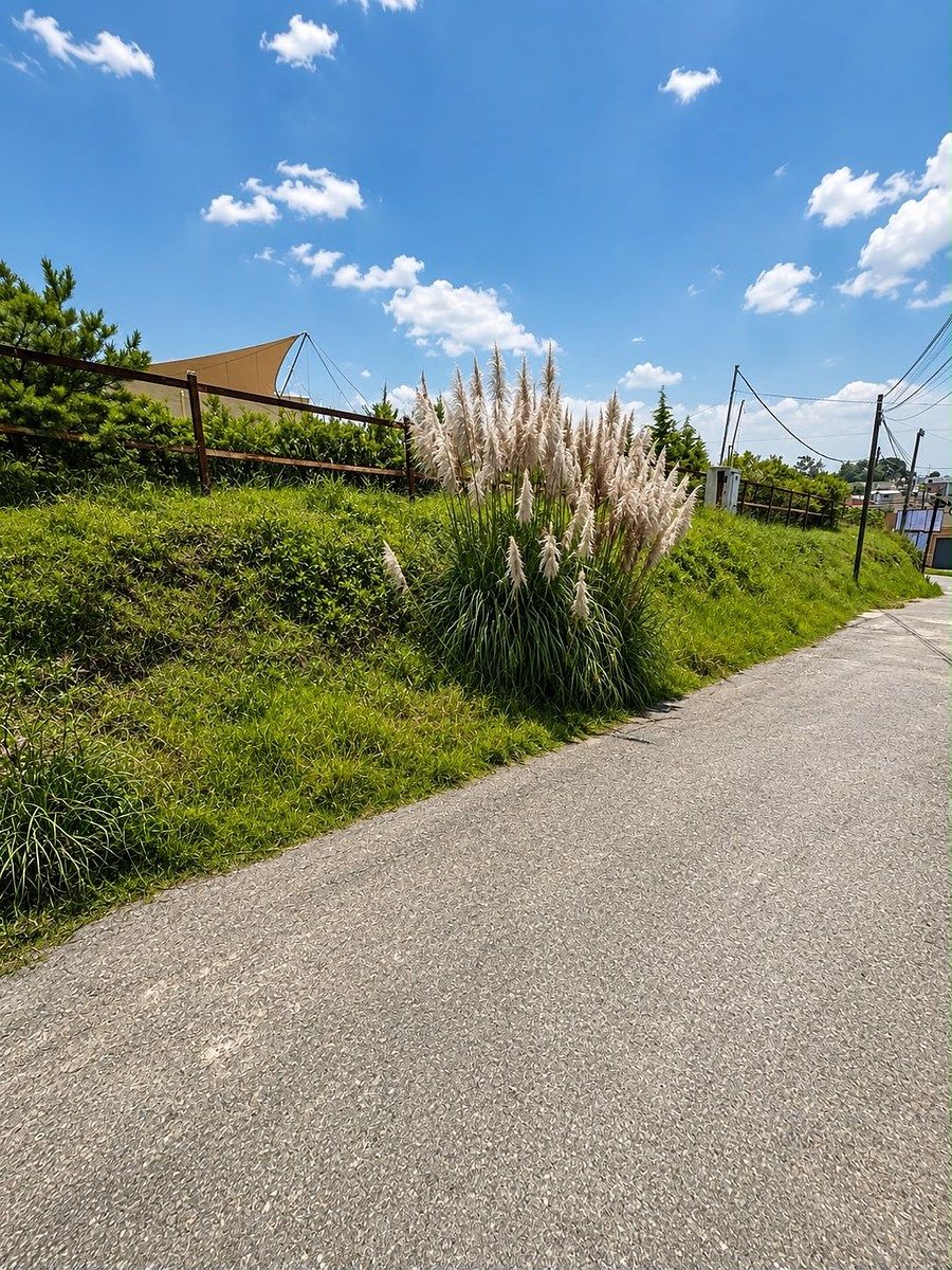 Venta de terreno en Jilotzongo, foto 1 de 14