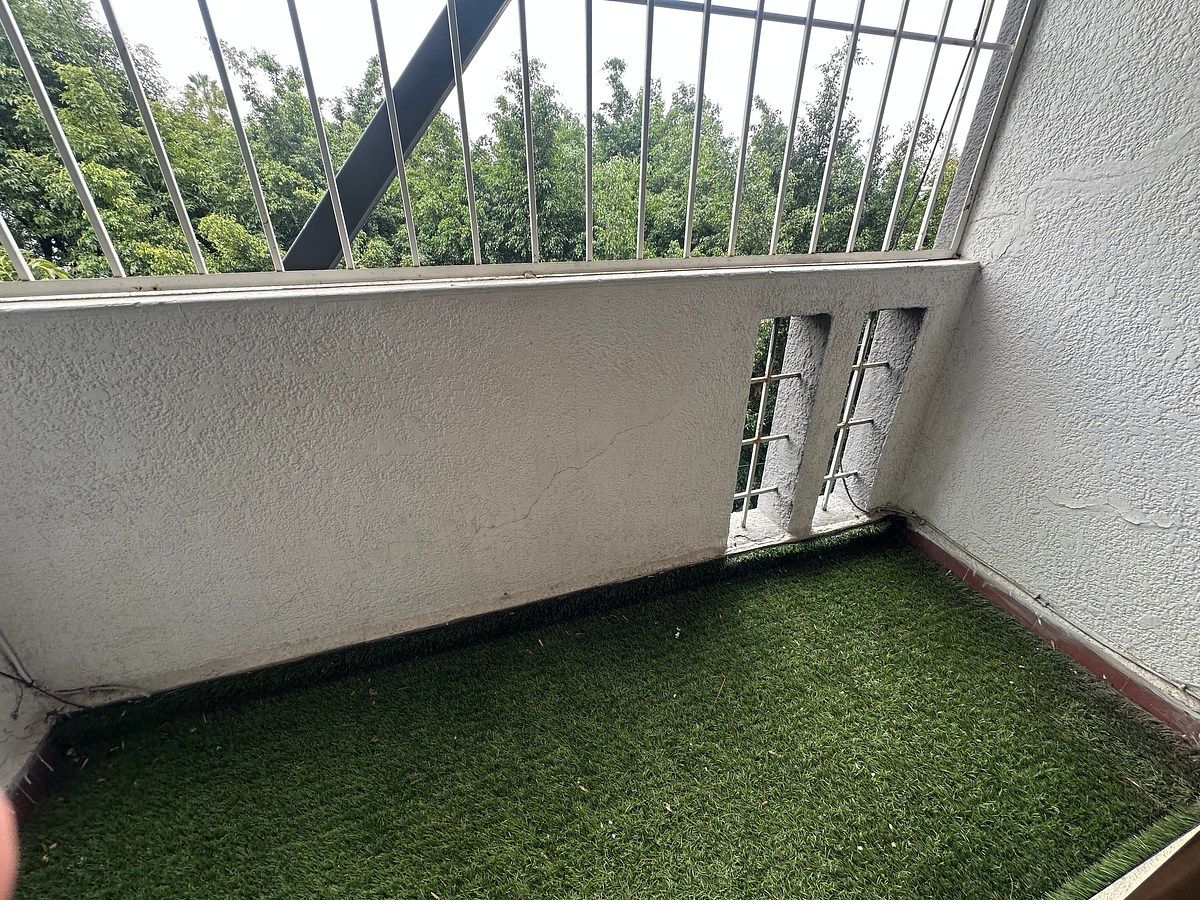 Apartment in Roma Norte, Cuauhtémoc, photo 21 of 32