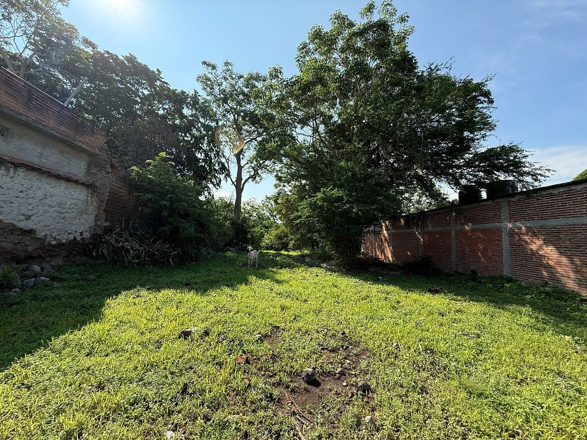 Lote em Comala, Comala, foto 12 de 18