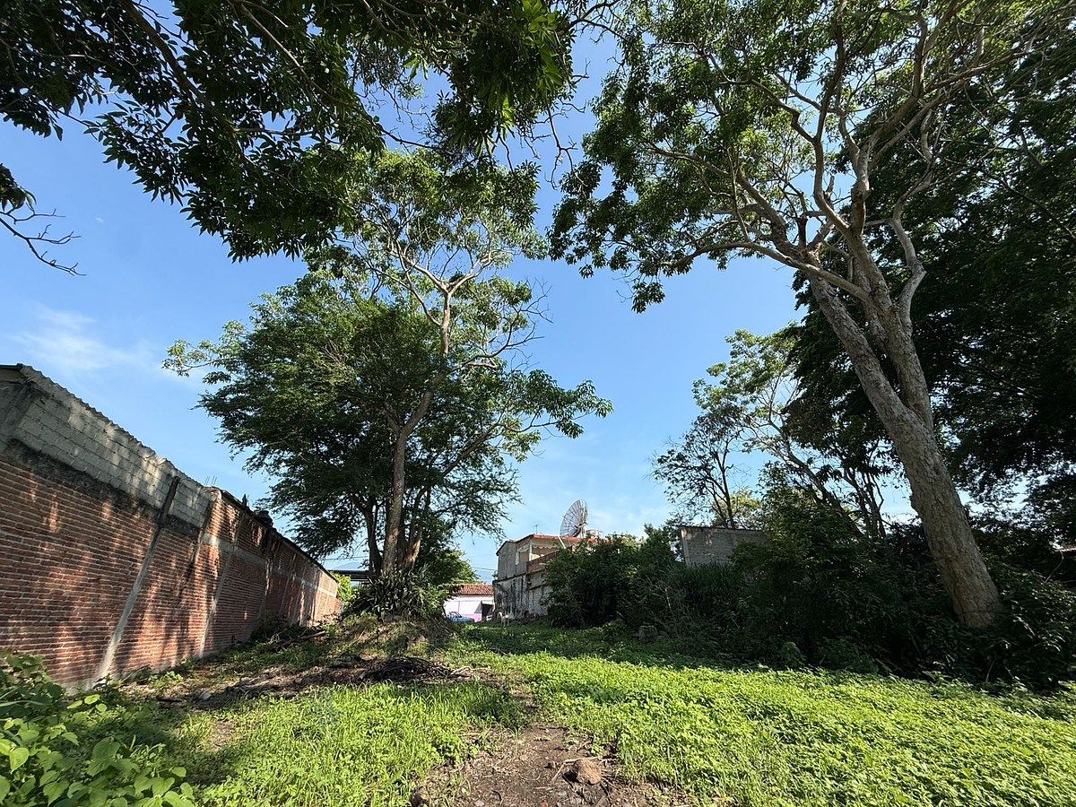 Lote em Comala, Comala, foto 15 de 18