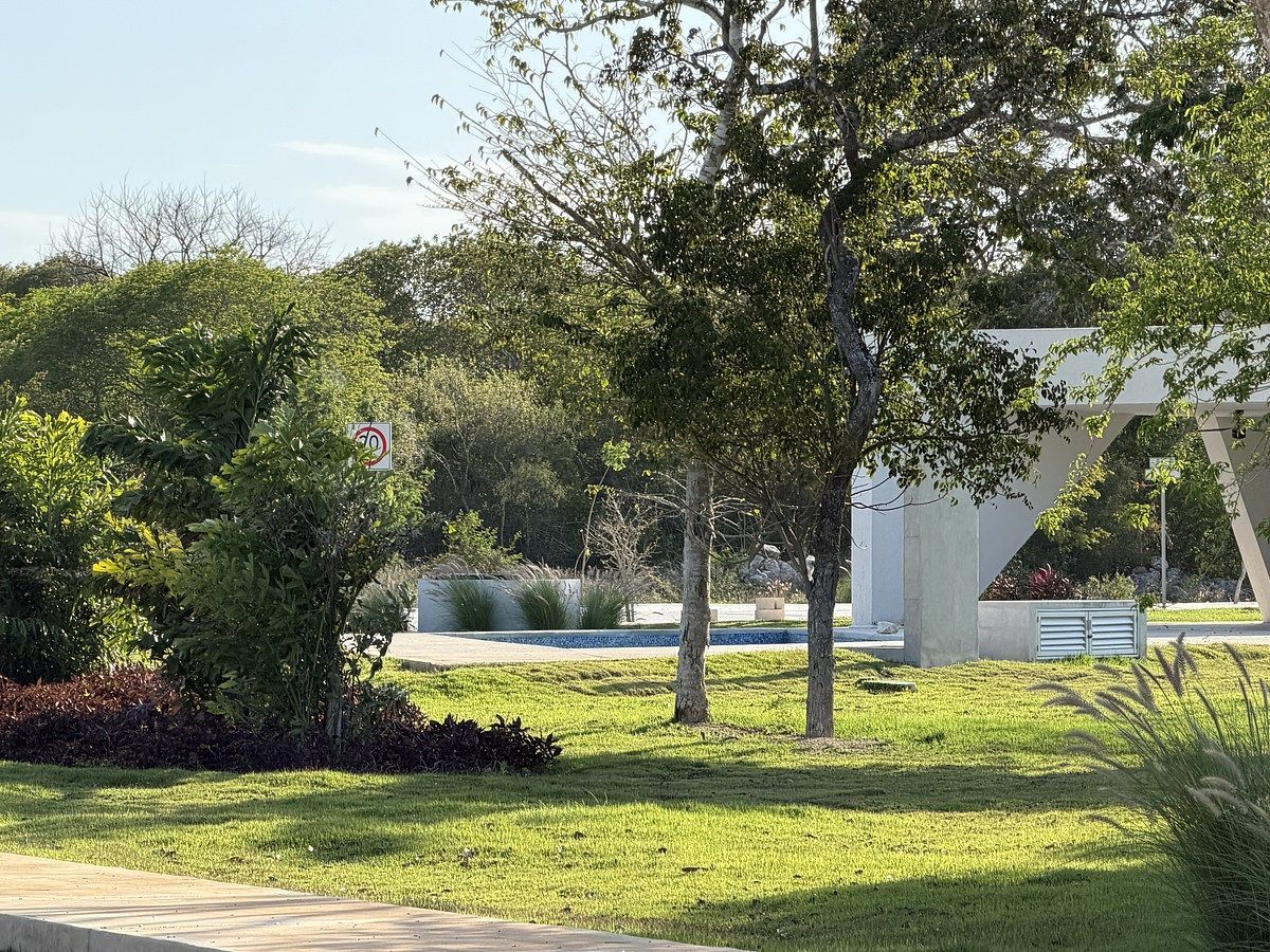 Lote em Komchen, Mérida, foto 13 de 18