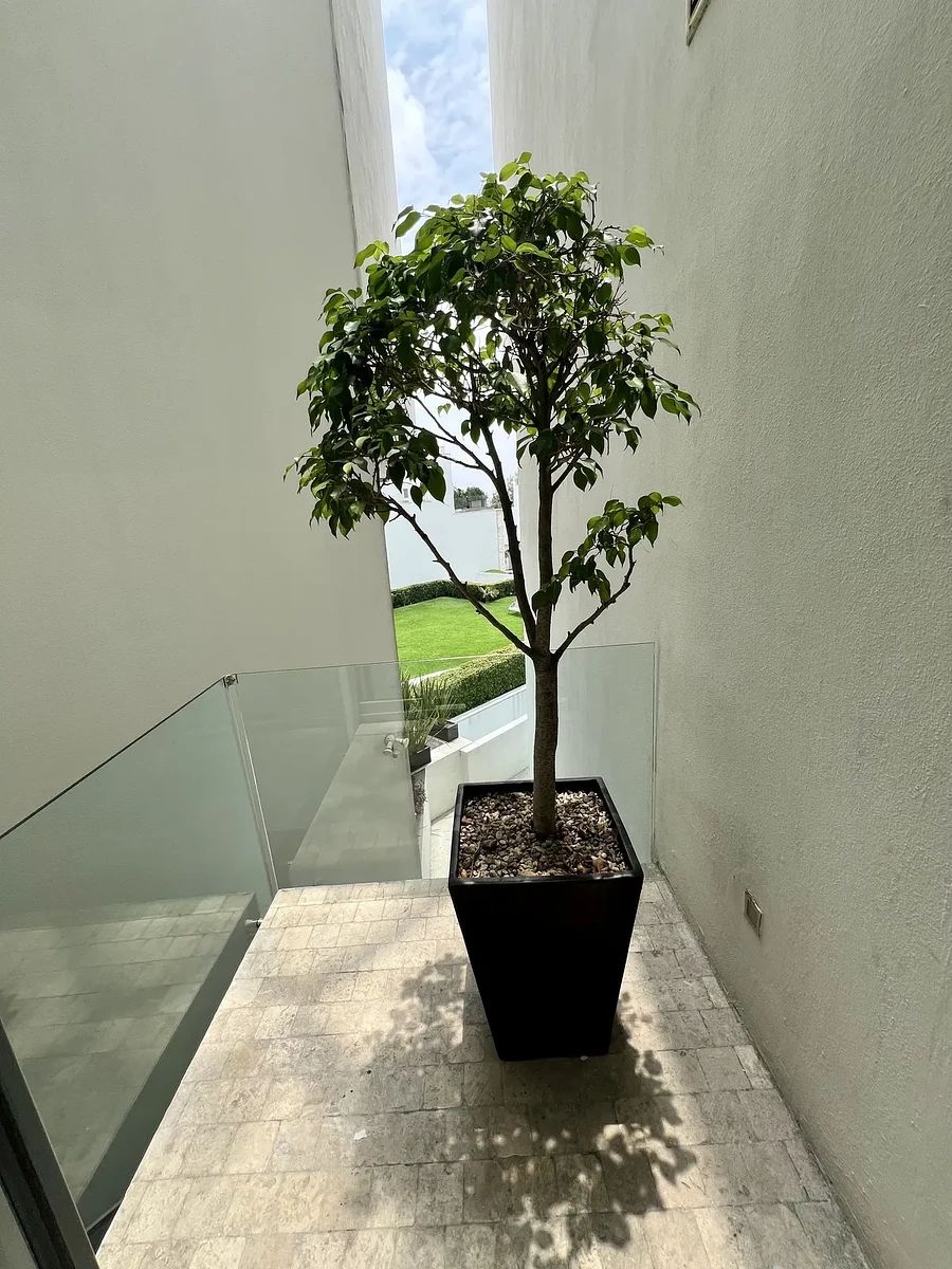Departamento en Santa Fe La Loma, Álvaro Obregón, foto 11 de 28