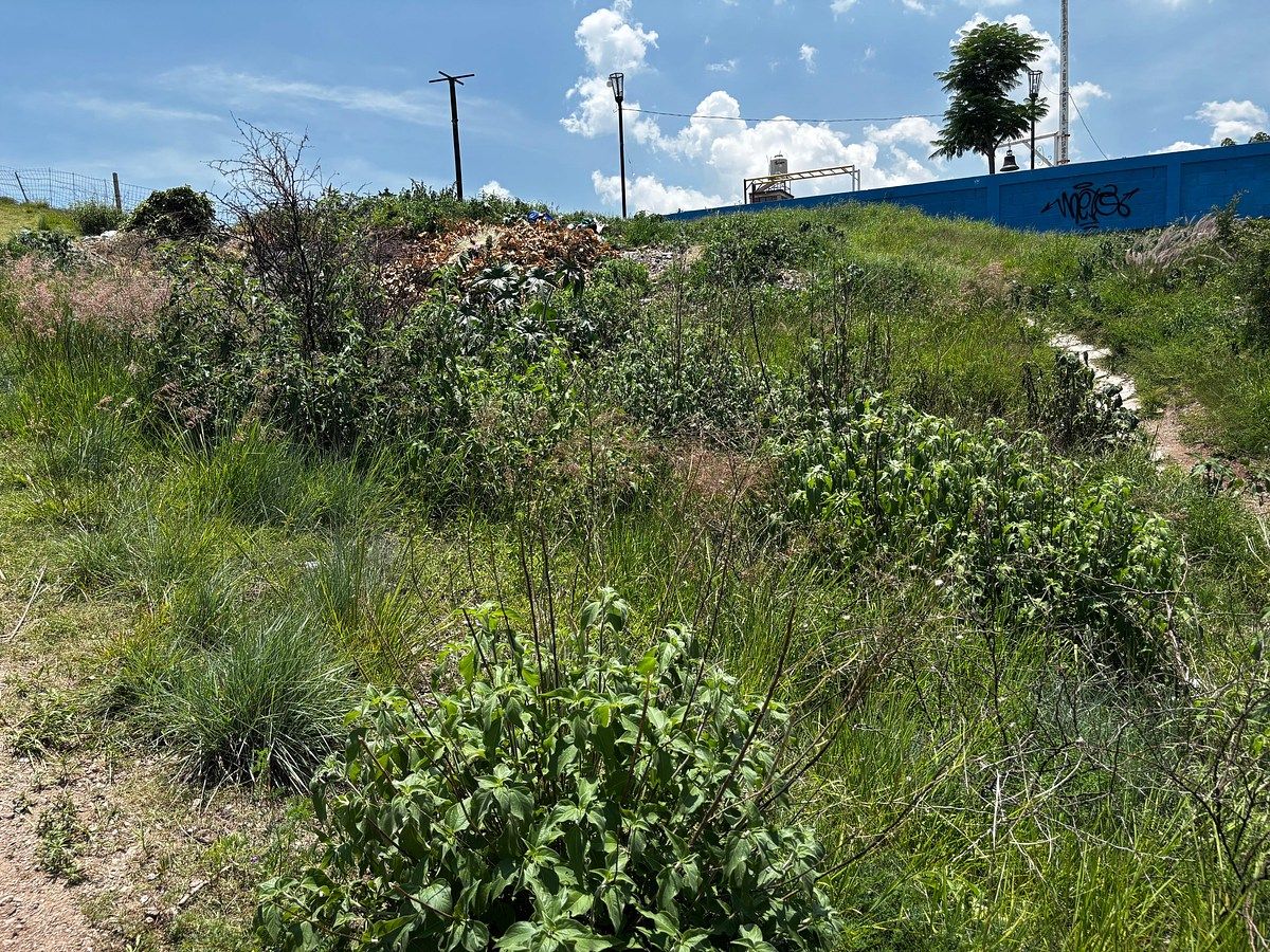 Terreno en Mártires, Guanajuato, foto 2 de 13
