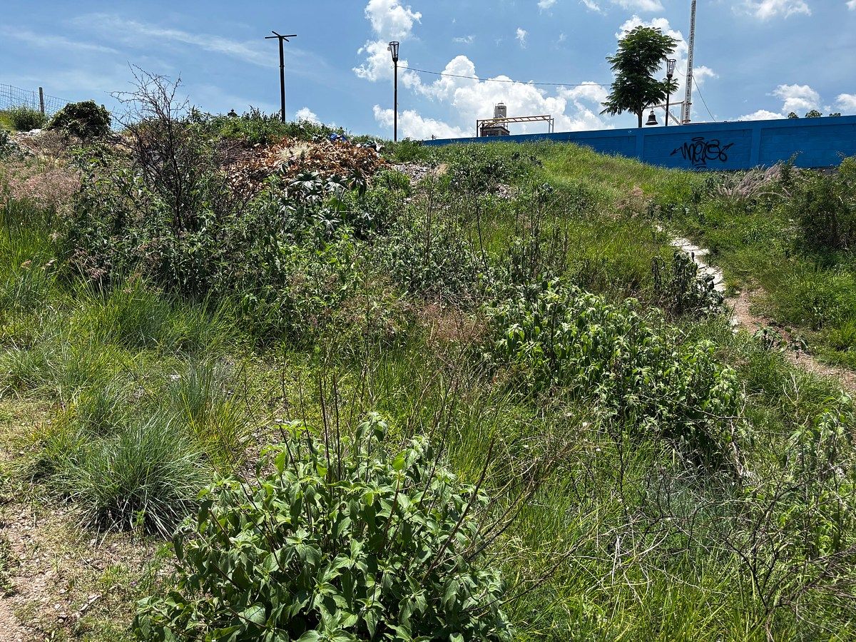 Terreno en Mártires, Guanajuato, foto 3 de 13