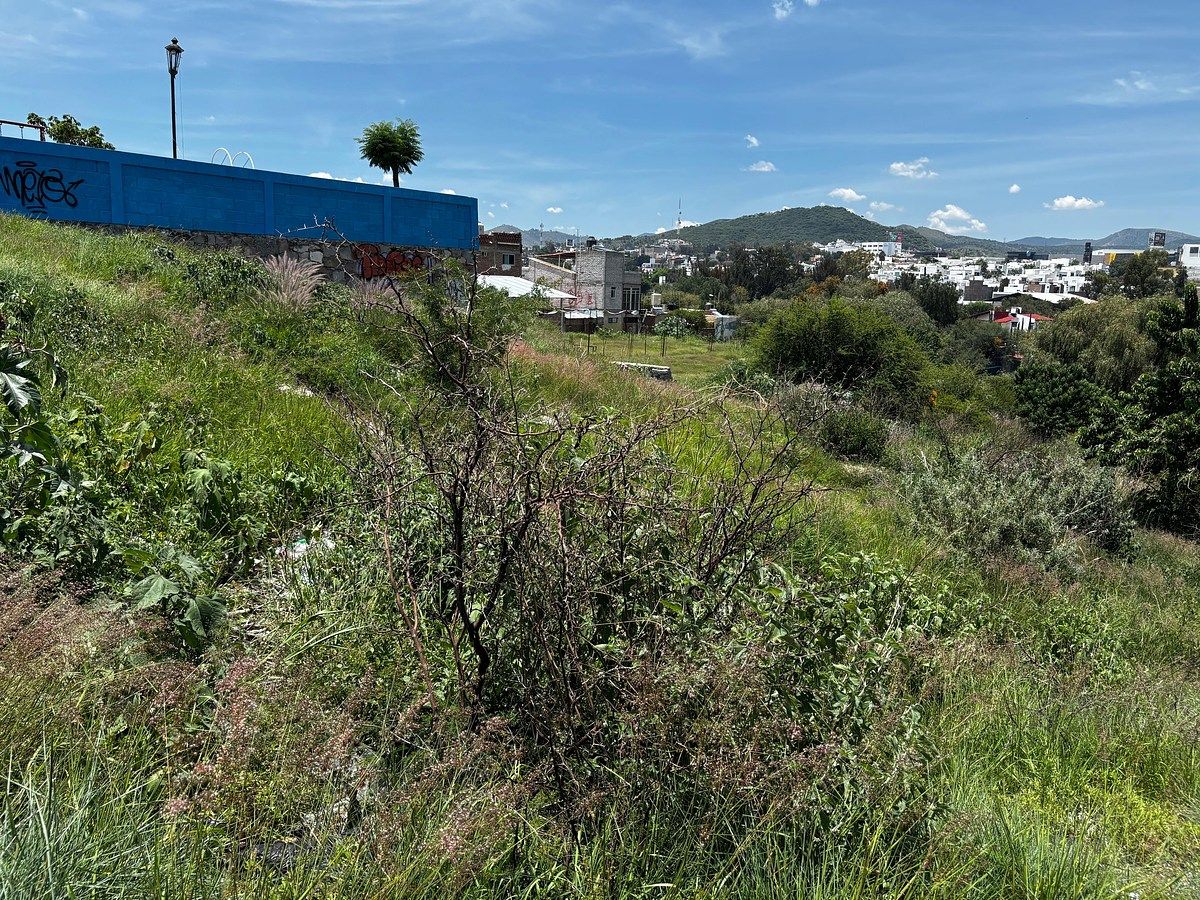 Terreno en Mártires, Guanajuato, foto 7 de 13
