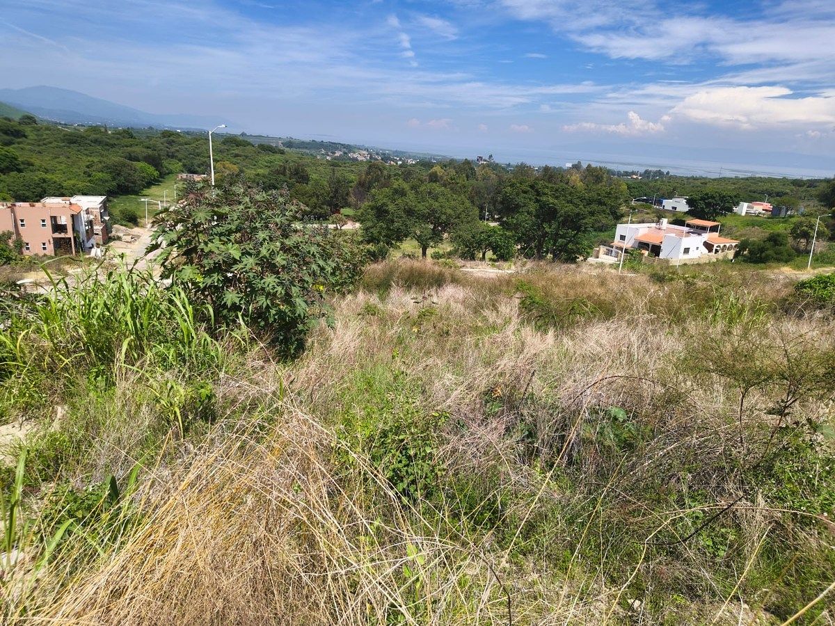 Terreno en Chapala Centro, Chapala, foto 6 de 12