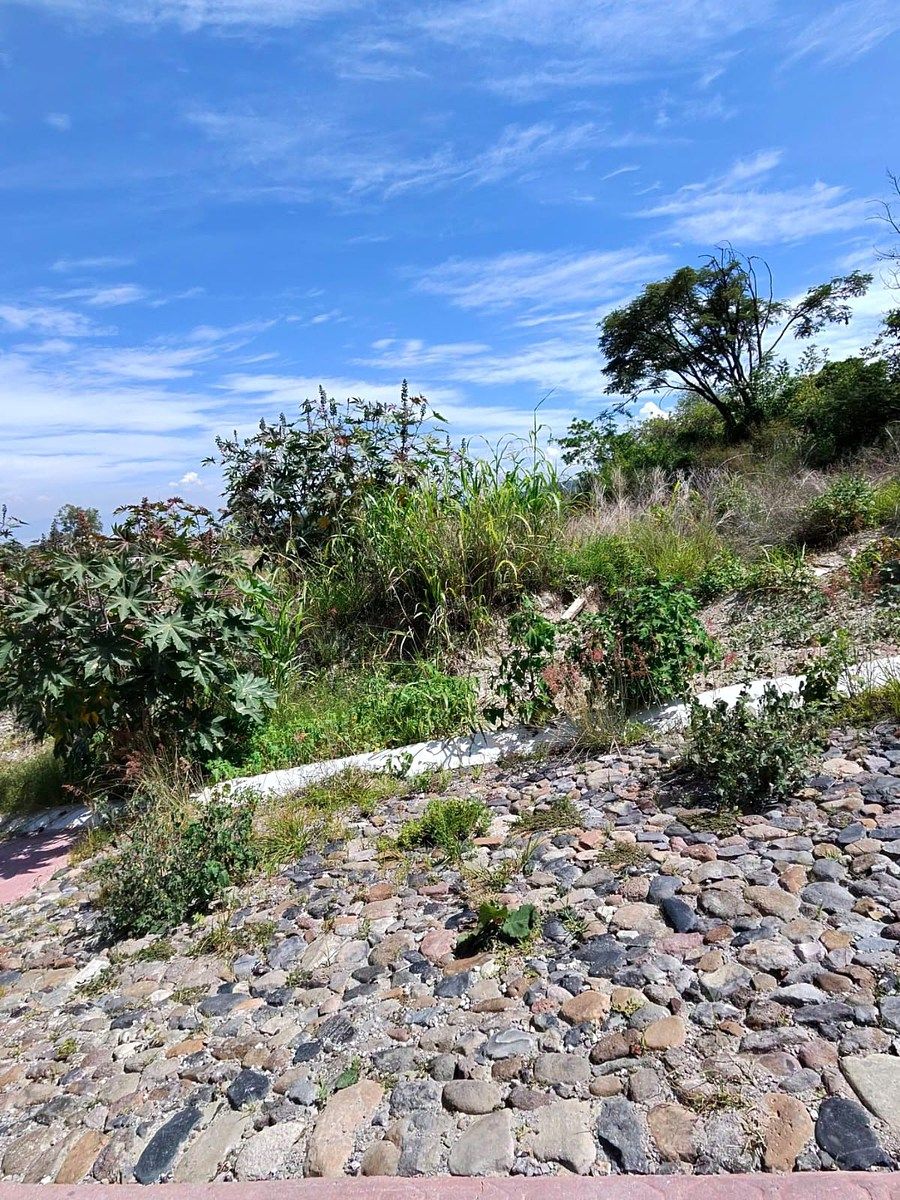 Terreno en Chapala Centro, Chapala, foto 11 de 12