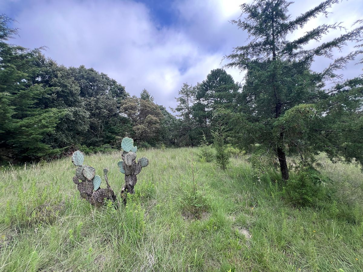 Terreno en La Cruz, Amealco de Bonfil, foto 2 de 16