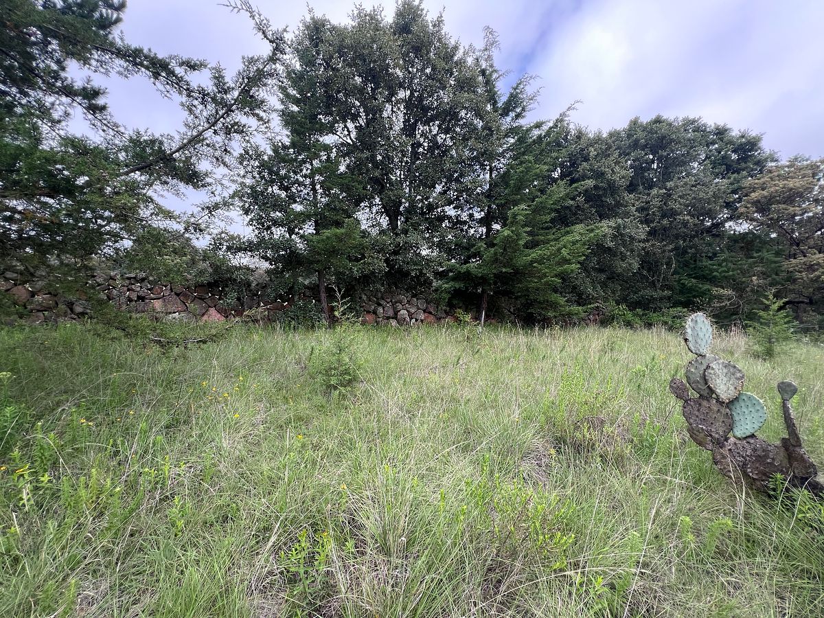 Terreno en La Cruz, Amealco de Bonfil, foto 4 de 16