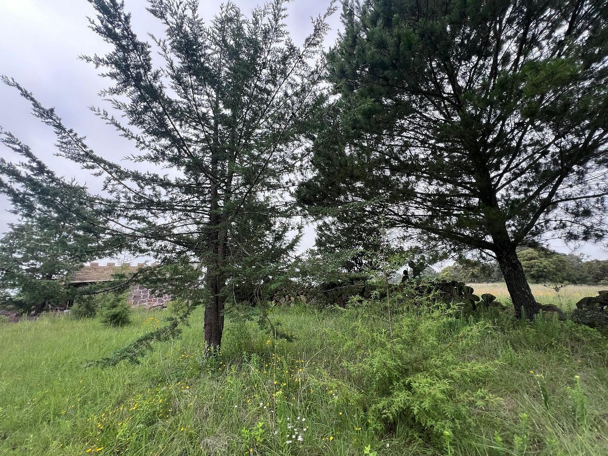 Terreno en La Cruz, Amealco de Bonfil, foto 6 de 16