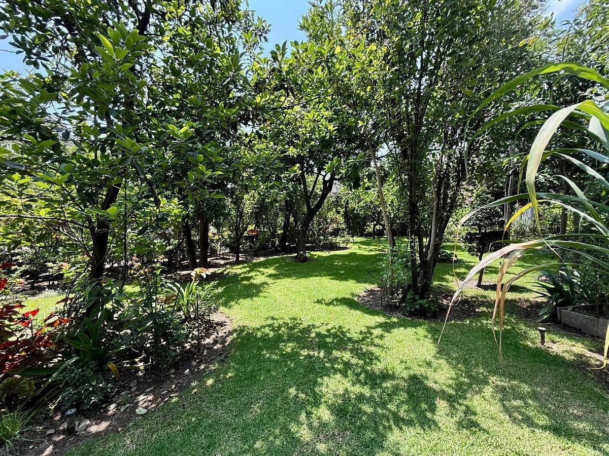 Lote comercial em Jocotan, Zapopan, foto 17 de 20
