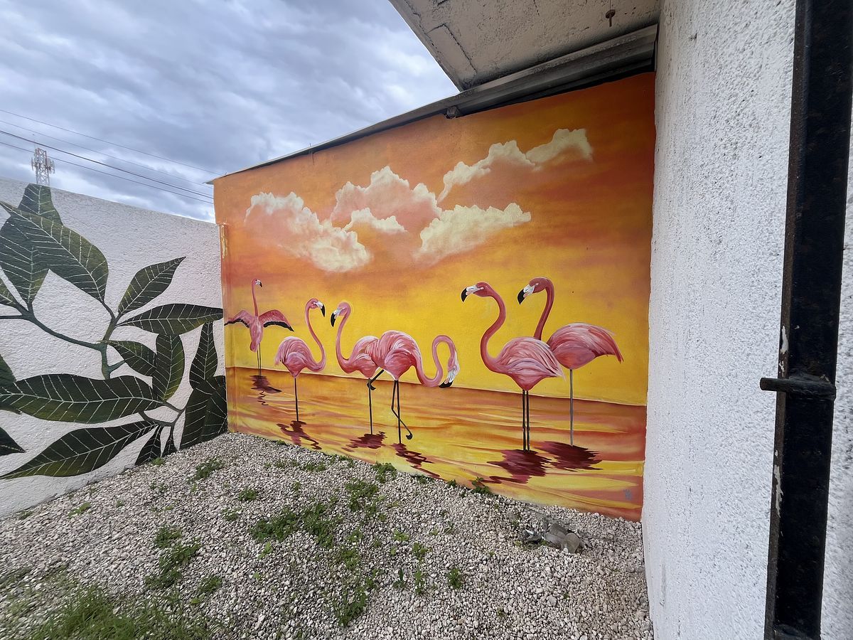 Local comercial en Chelem, Progreso, foto 8 de 36