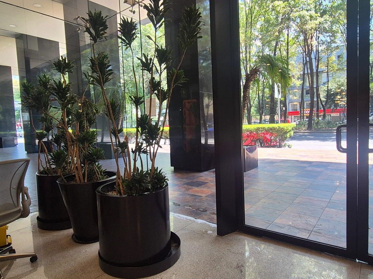 Oficina en Anzures, Miguel Hidalgo, foto 4 de 31